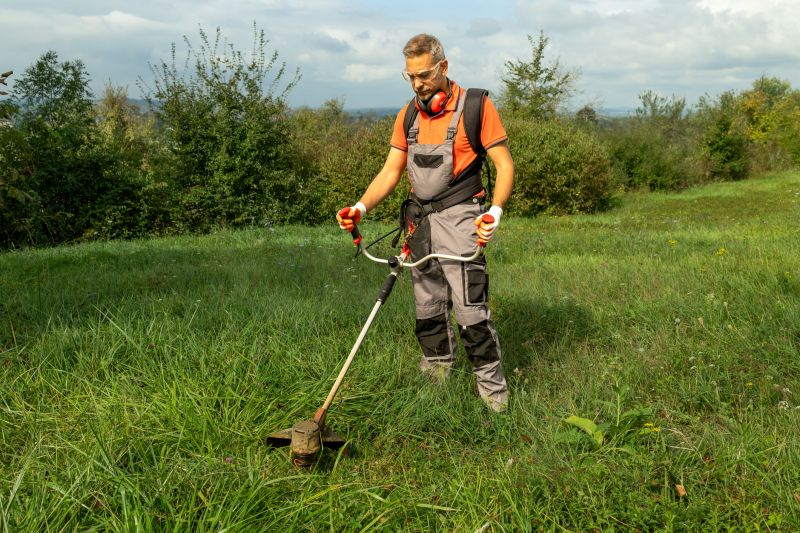 Local Hillside Weed Eating pros at work