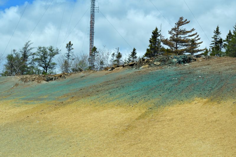 Hillside Weed Eatings in Spring