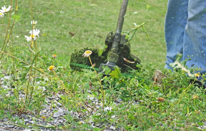 Equipment Used in Weed Eatings