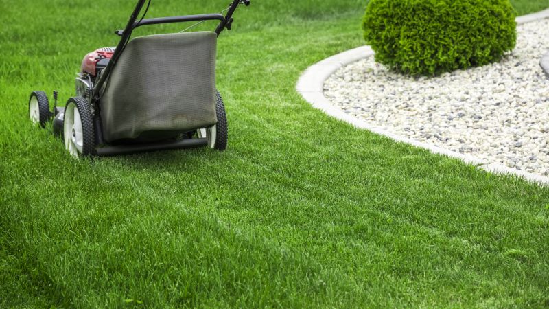 Lawn Clipping Collection
